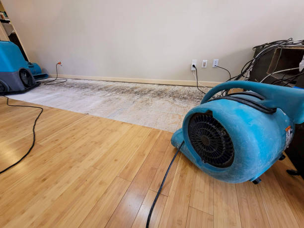 Professional Water Damage Repair technician working in Lompoc, CA
